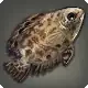 Spotted Ctenopoma icon