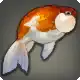 Toadhead icon