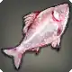 Cloud-eye Carp icon