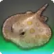 Cirrostratus icon