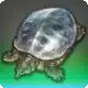 Crystal Pigeon icon