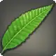 Cloudweed icon