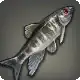 Mucous Minnow icon
