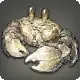 Coerthan Crab icon