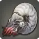 Dark Nautilus icon