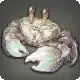 Carpenter Crab icon
