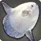 Silken Sunfish icon