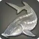 White Sturgeon icon