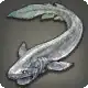Salt Shark icon