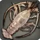 Typhoon Shrimp icon