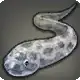 Pale Panther icon