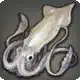 Saltsquid icon